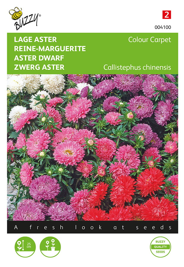 Buzzy Seeds Zwerg Aster Farbteppich Mischung
