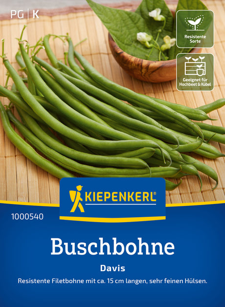 Kiepenkerl Buschbohnen Davis