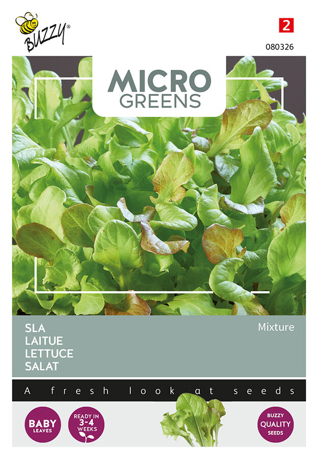 Buzzy Seeds Microgreens Salat Mischung