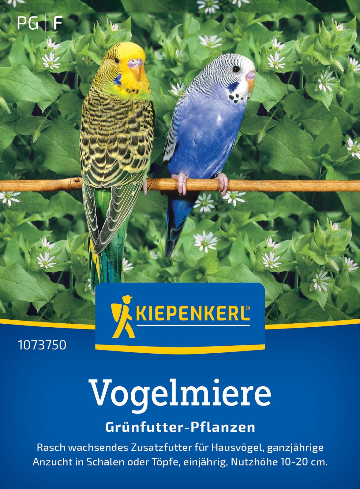 Kiepenkerl Frischfutterpflanzen Vogelmiere Loses Saatgut