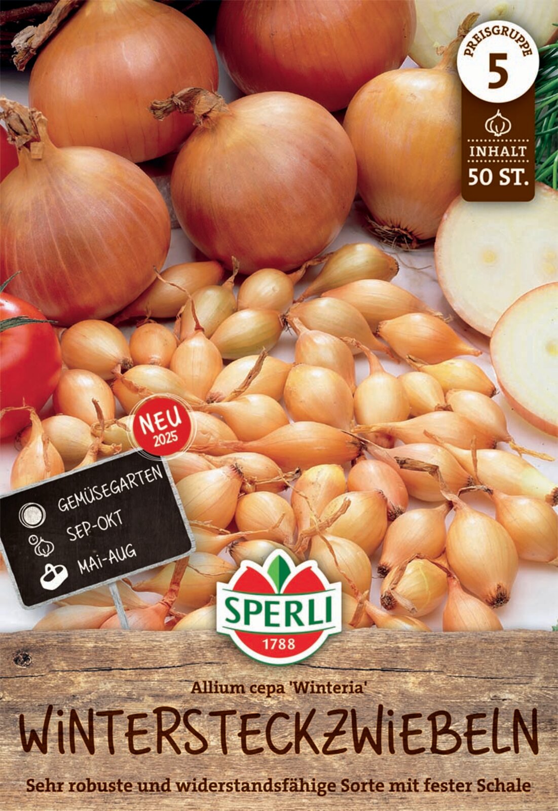 SPERLI Gelbe Wintersteckzwiebel Winteria 50 Stück