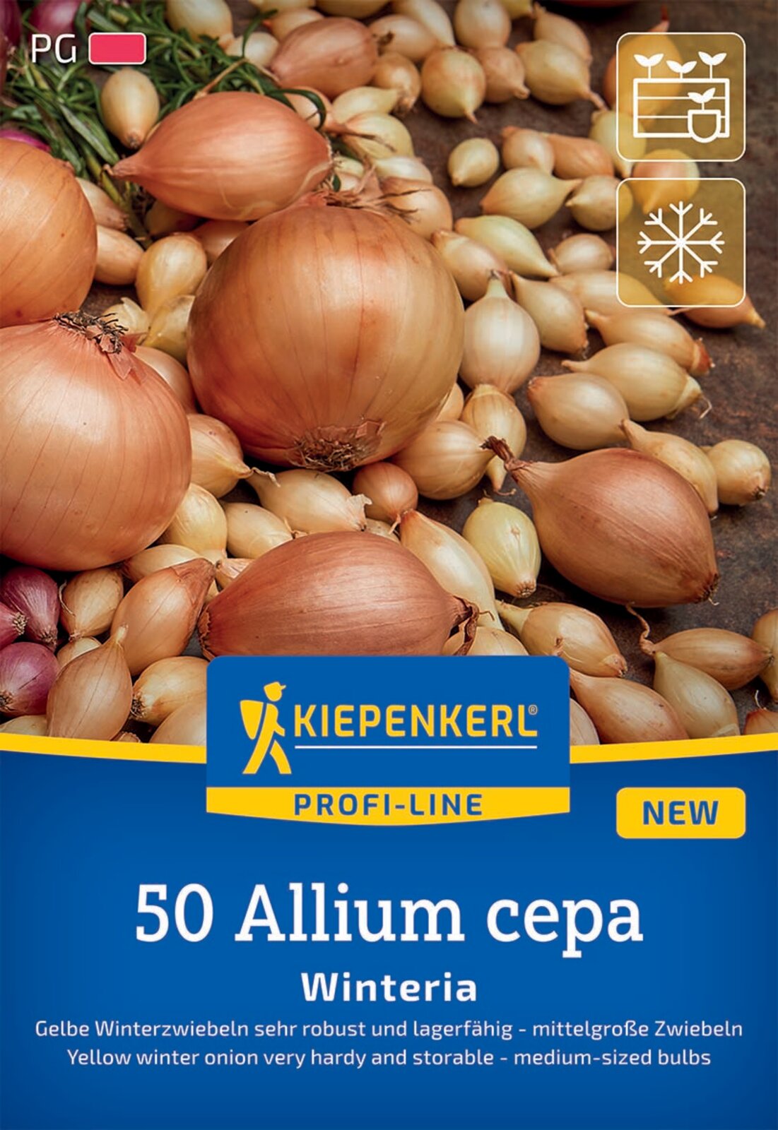 Kiepenkerl Gelbe Wintersteckzwiebel Winteria 50 Stück