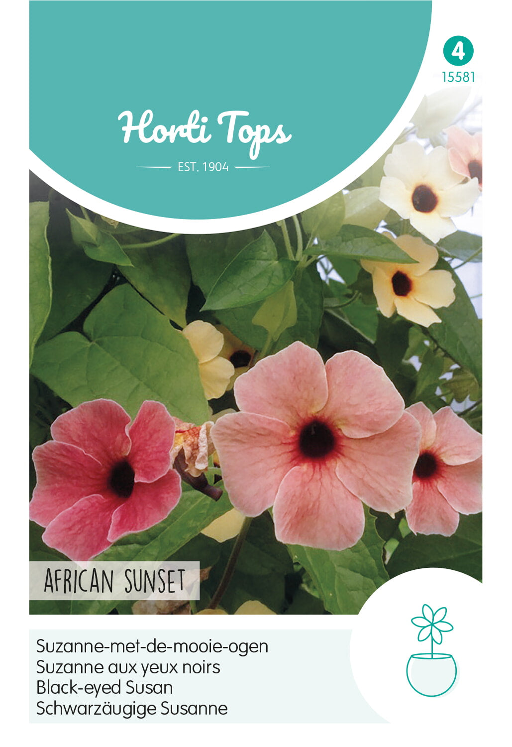 Horti Tops Schwarzäugige Susanne African Sunset