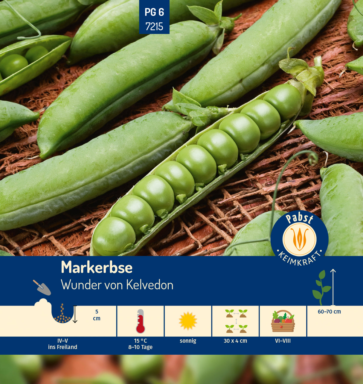 Pabst Keimkraft Markerbsen Wunder von Kelvedon