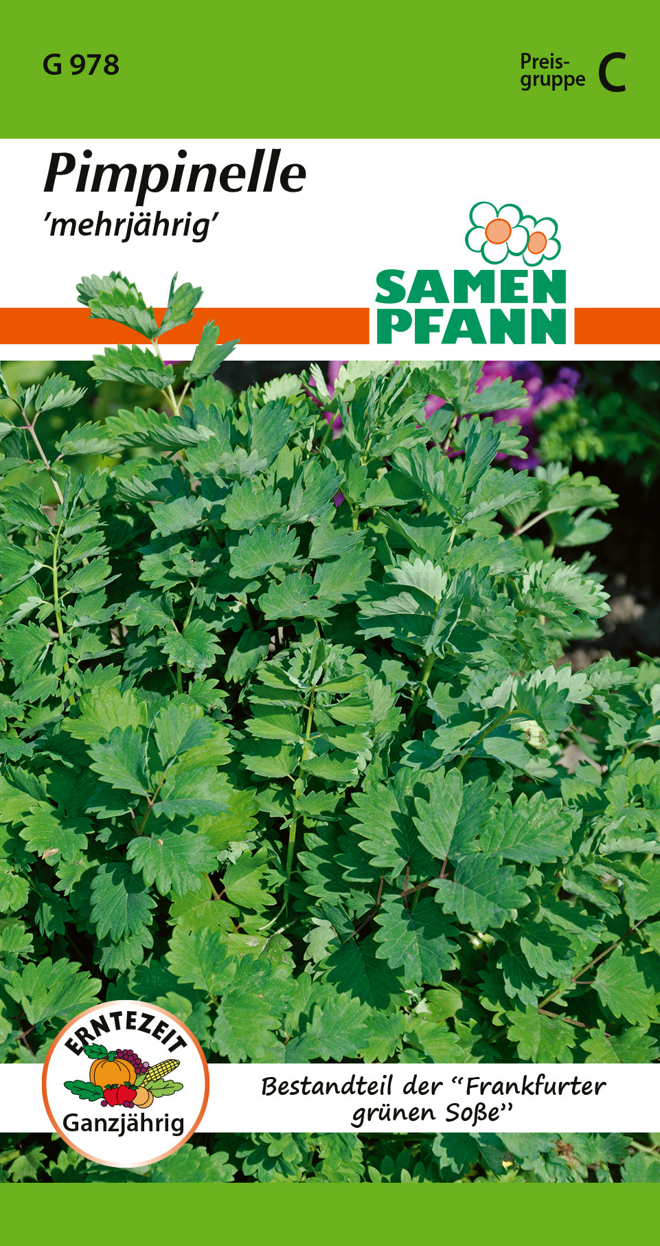 Samen Pfann mehrjährig Pimpinelle