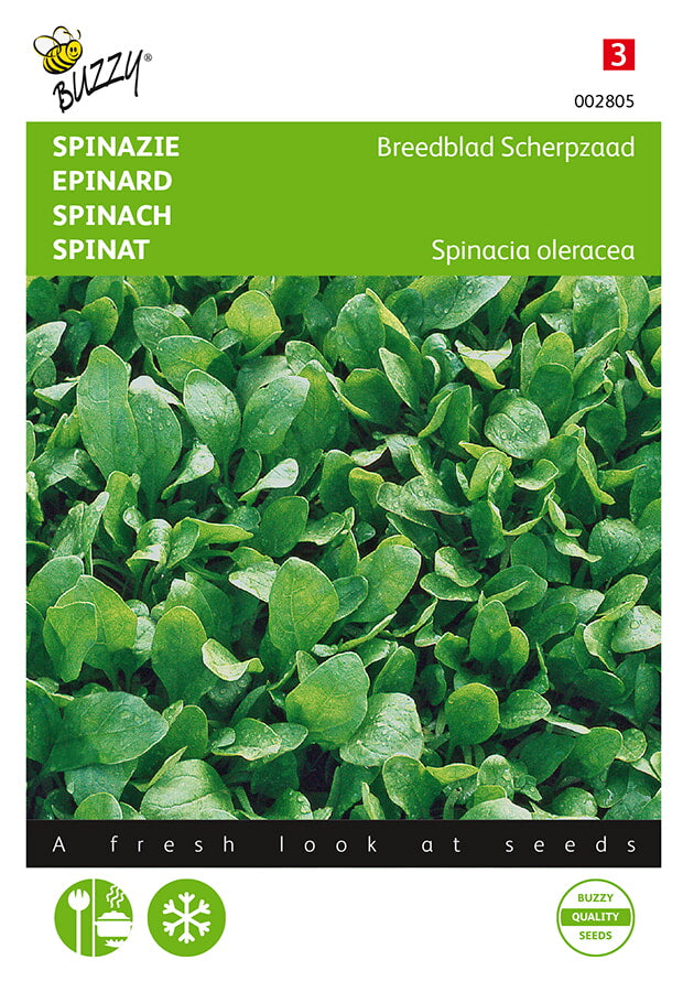 Buzzy Seeds Spinat Scharfsamiger Breitblättriger