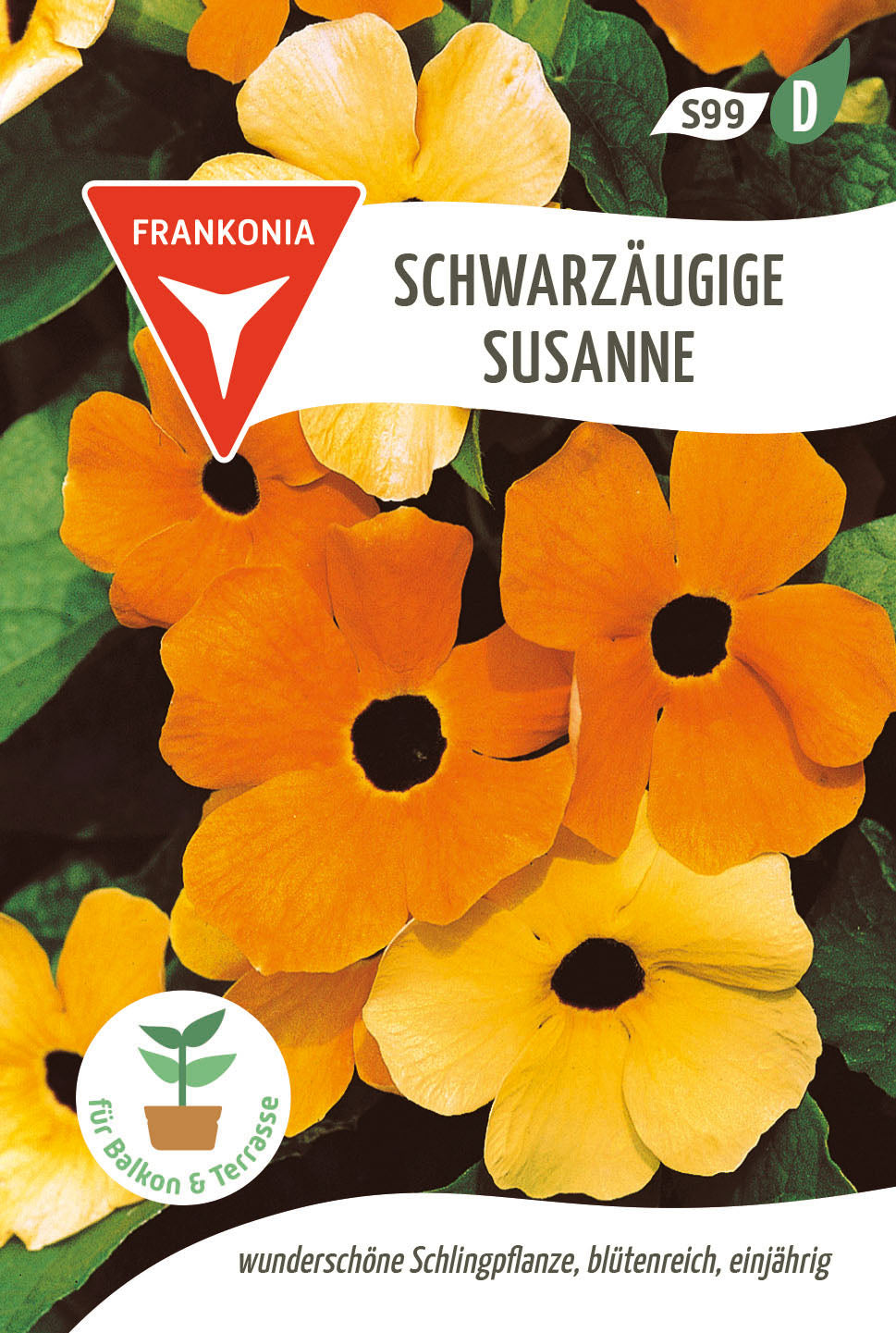 Frankonia Samen Schwarzäugige Susanne