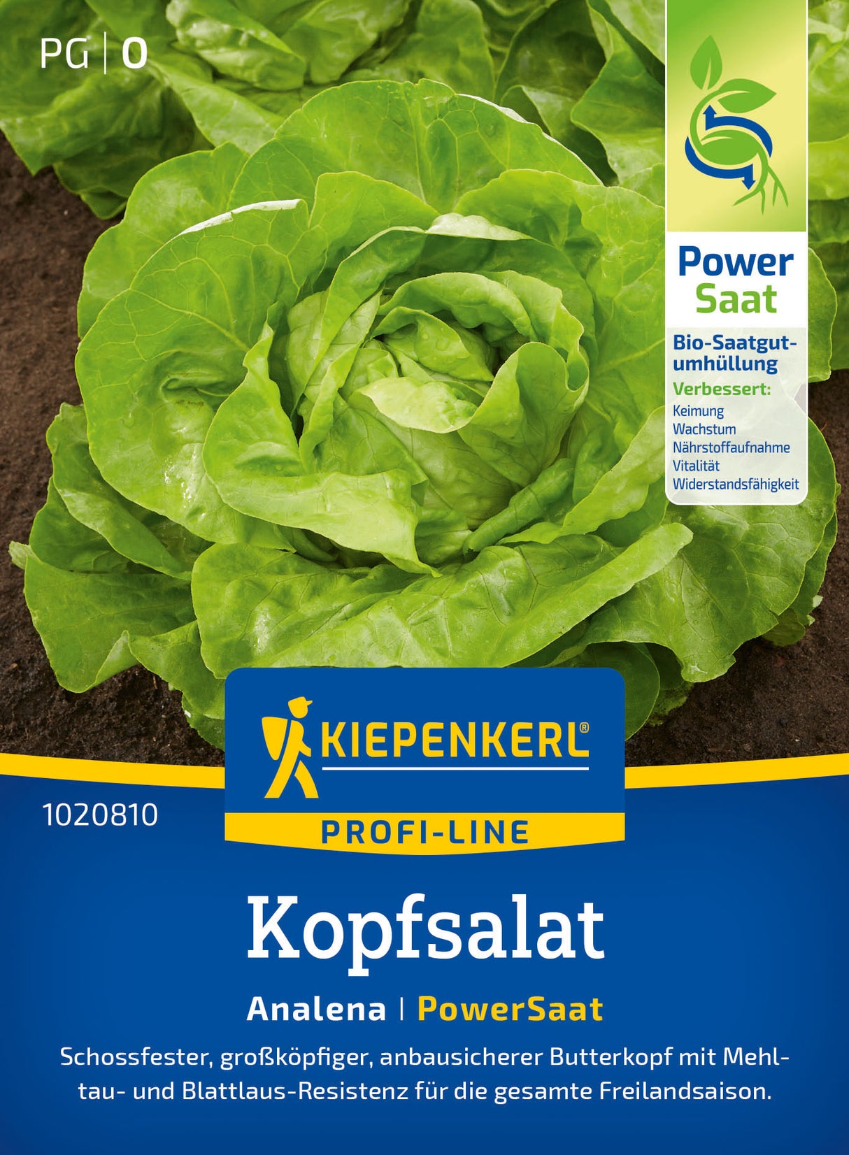 Kiepenkerl Kopfsalat Analena Pillensaat