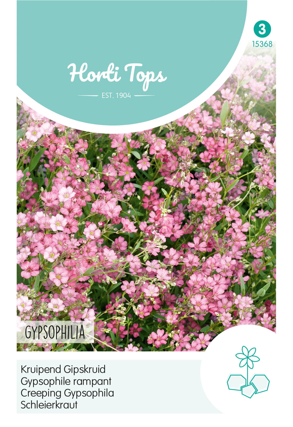 Horti Tops Schleierkraut Repens, Rosa