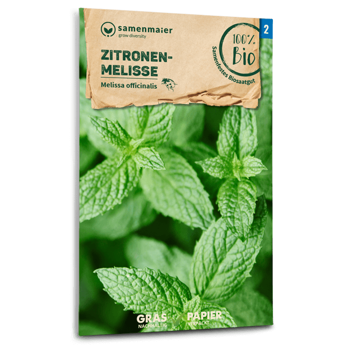 Samen Maier BIO Zitronenmelisse