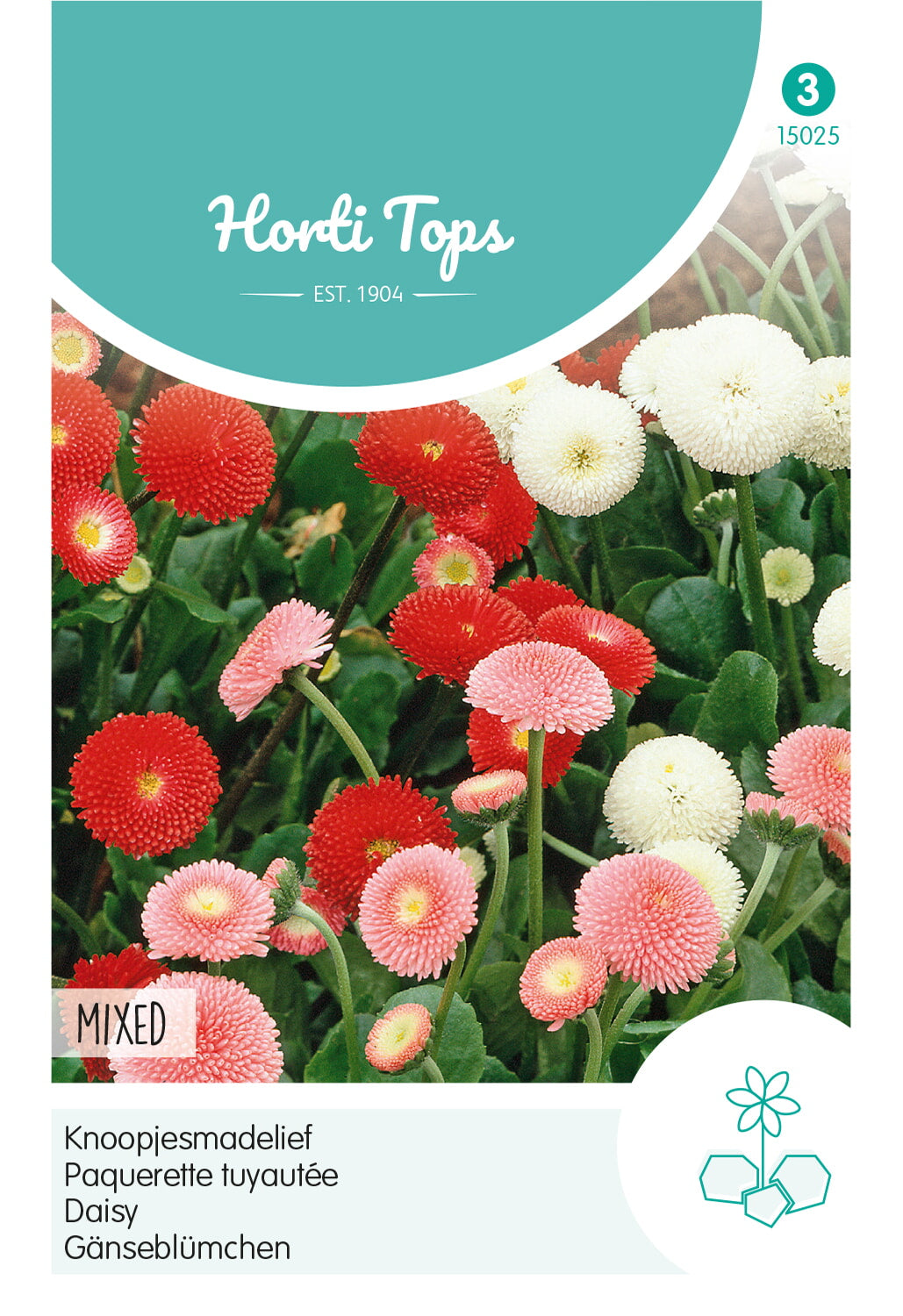 Horti Tops Gänseblümchen Pomponette Mischung