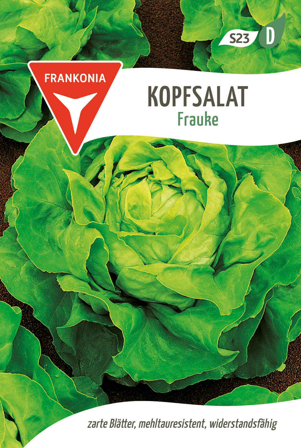 Frankonia Samen Kopfsalat Frauke