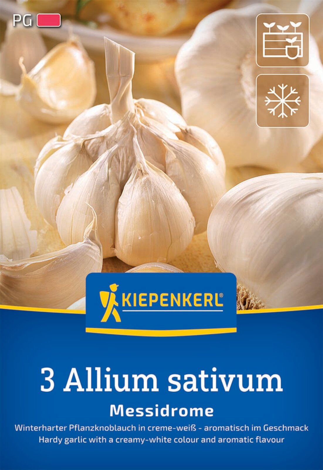 Kiepenkerl Winterknoblauch Messidrome 3 Stück