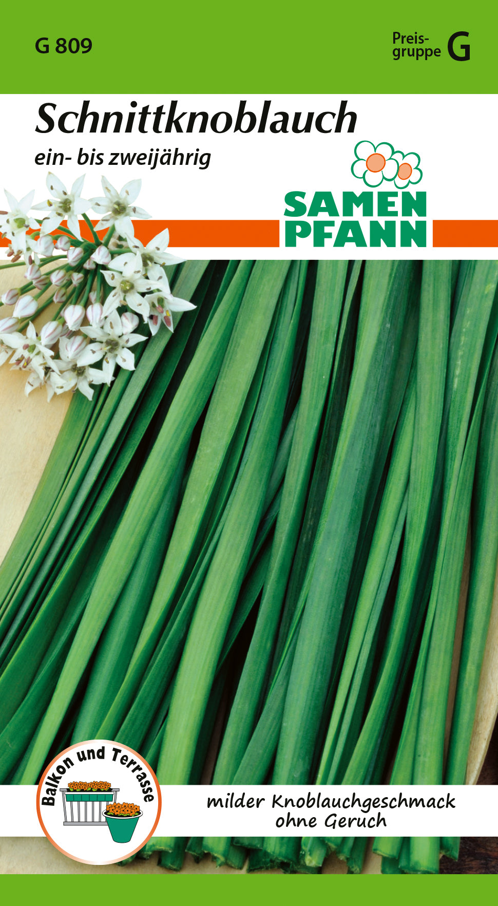 Samen Pfann Schnittknoblauch Ein- bis zweijährig