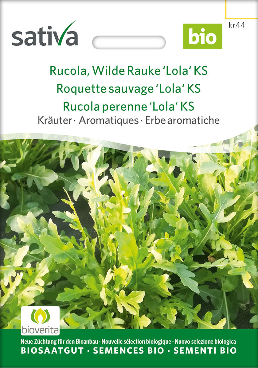 Sativa Rucola Wilde Rauke 'Lola' KS