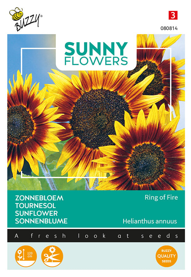 Buzzy Seeds Sonnenblume Ring of Fire