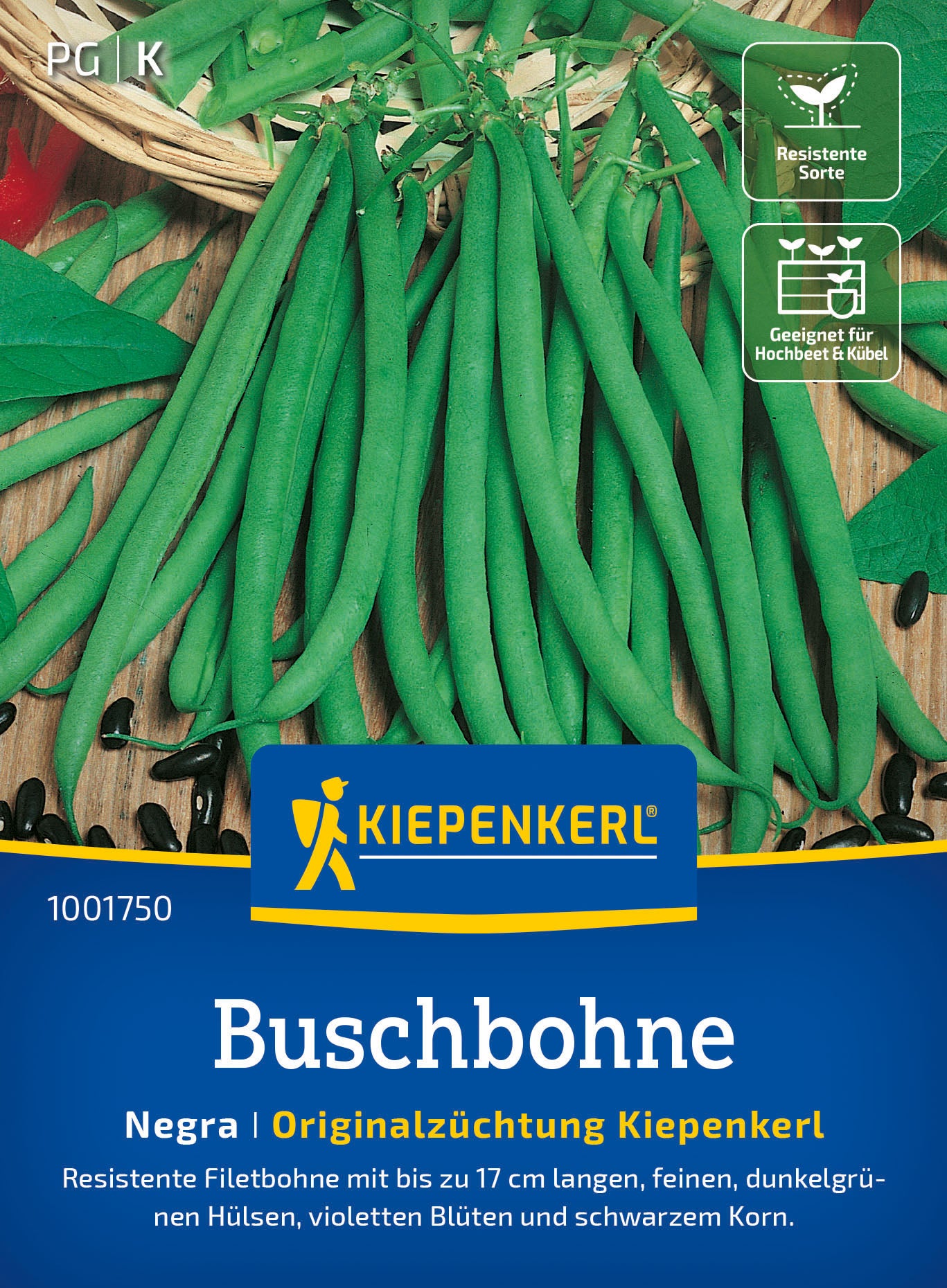 Kiepenkerl Buschbohnen Negra