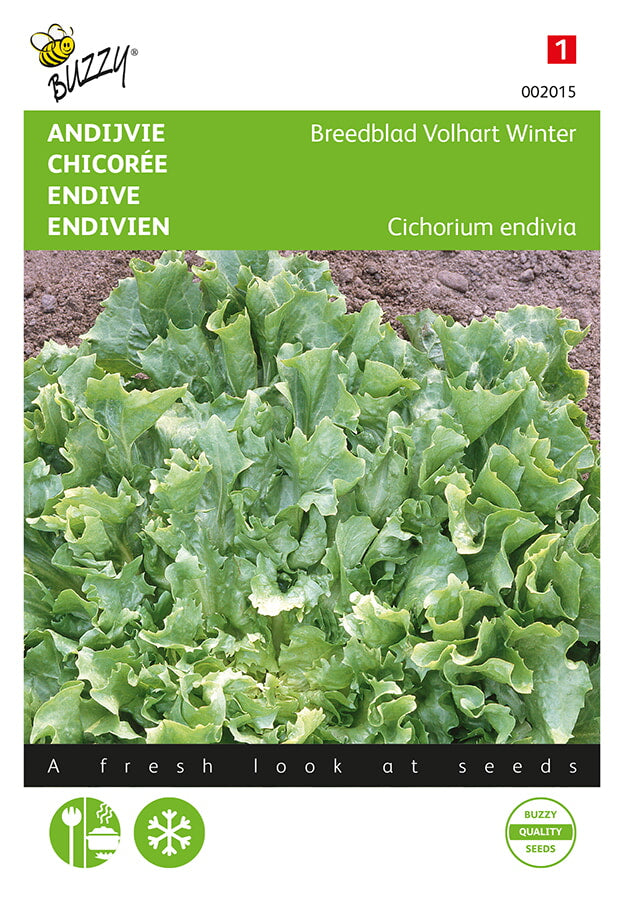 Buzzy Seeds Winterendivien Eskariol Grüner