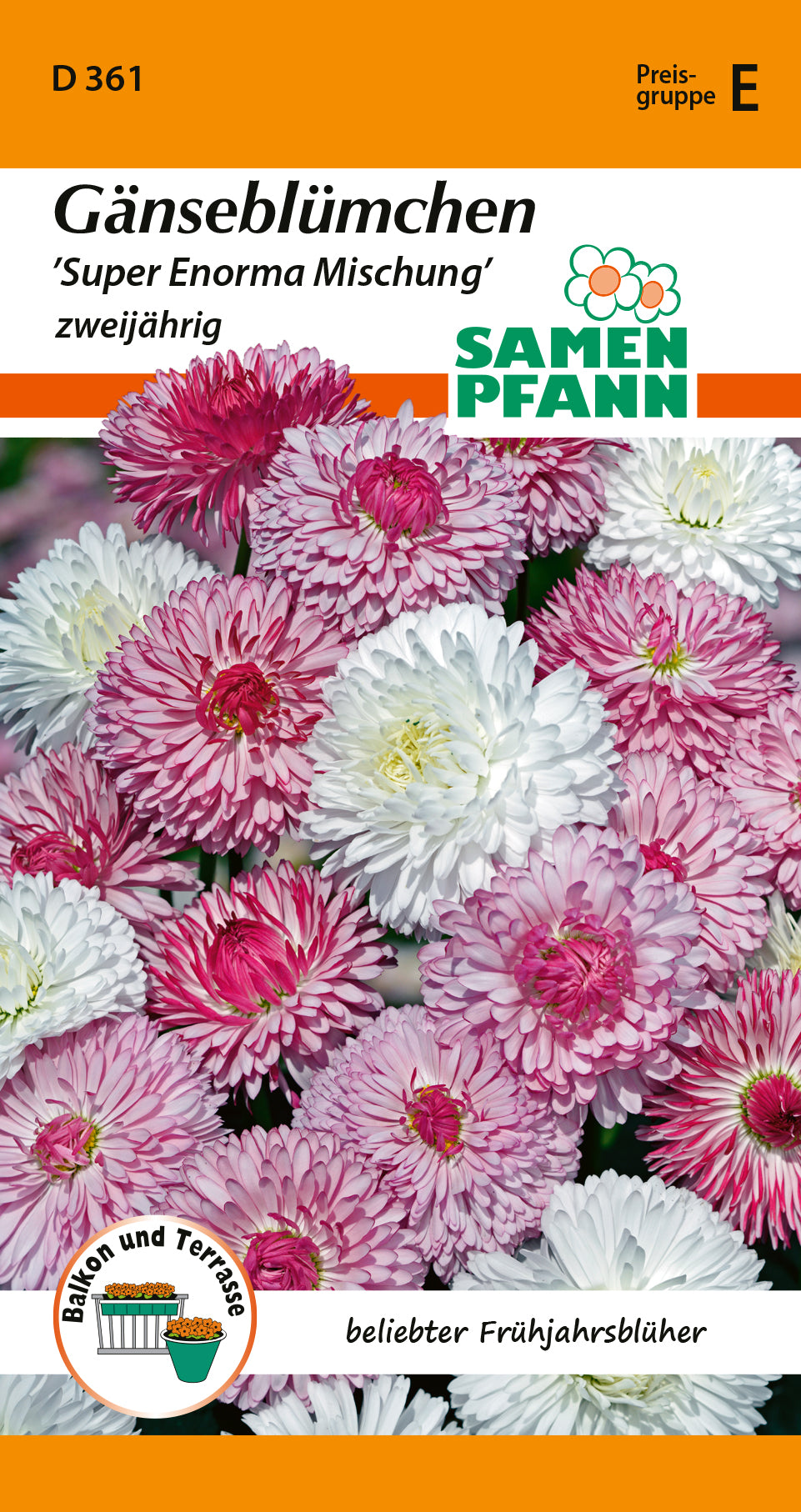 Samen Pfann Super Enorma Mischung Gänseblümchen