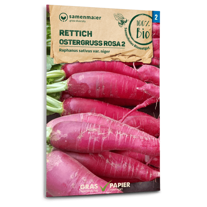 Samen Maier BIO Rettich Ostergruß rosa 2
