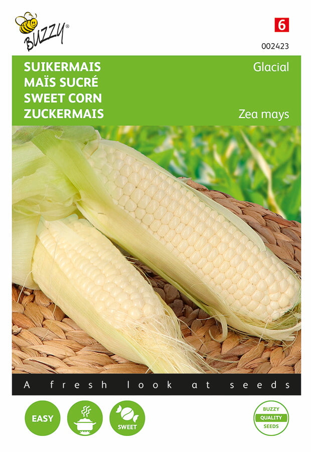 Buzzy Seeds Zuckermais Glacial