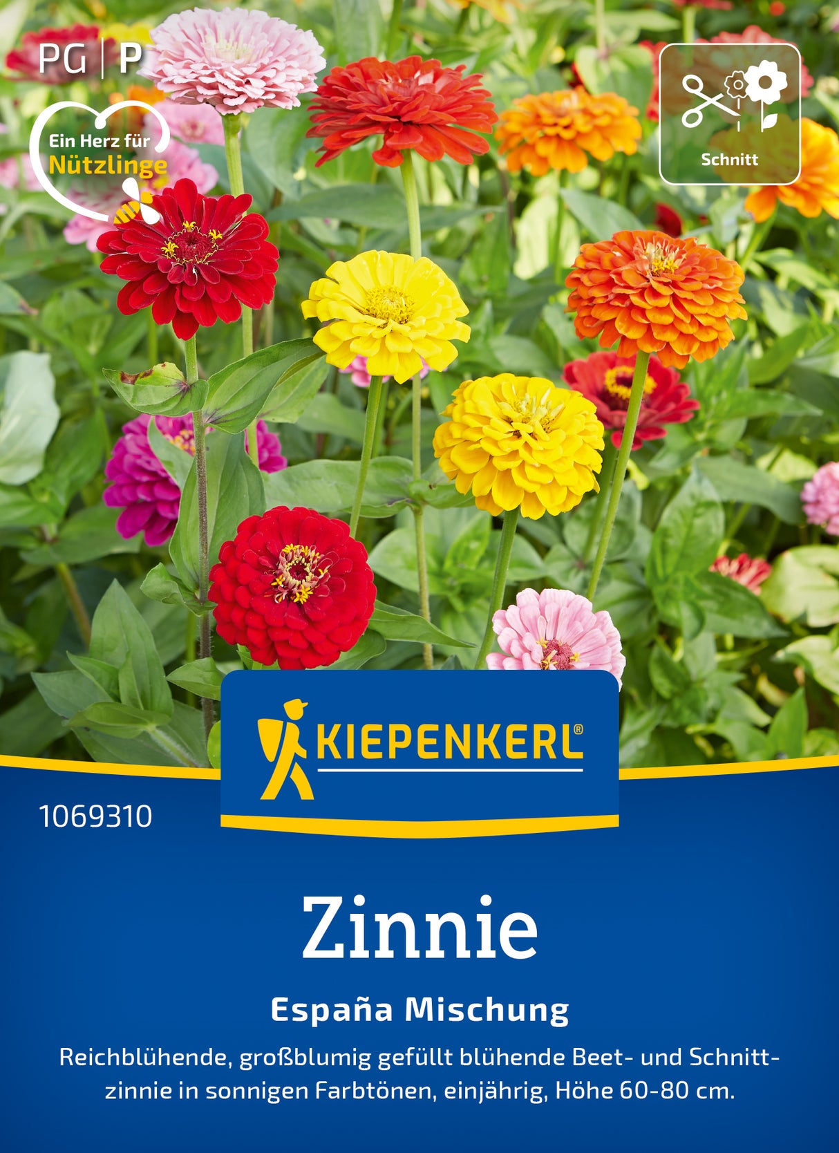 Kiepenkerl Zinnien España Mischung