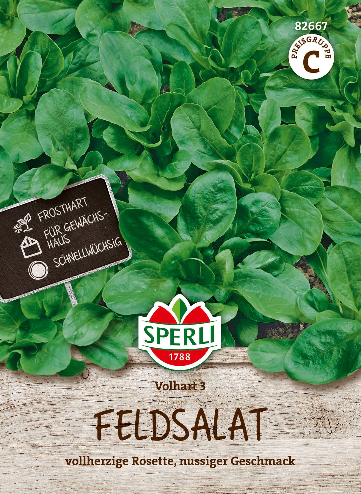 SPERLI Feldsalat Volhart 3
