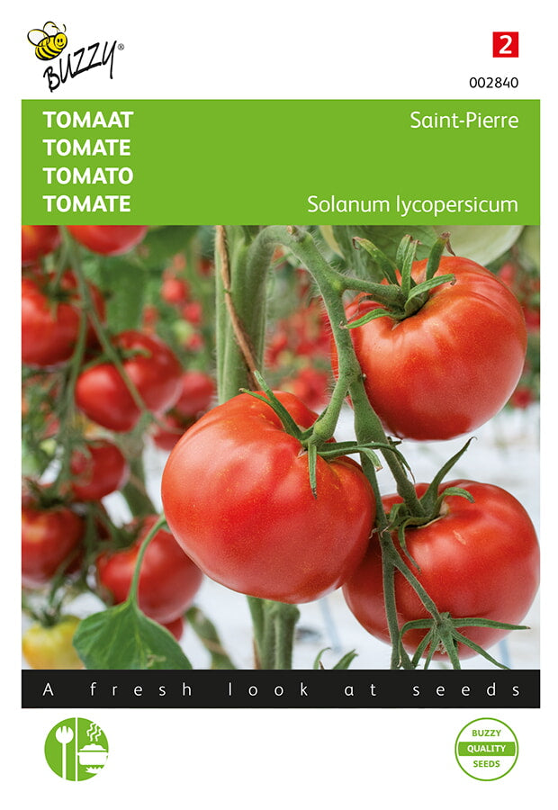 Buzzy Seeds Fleischtomaten Saint Pierre