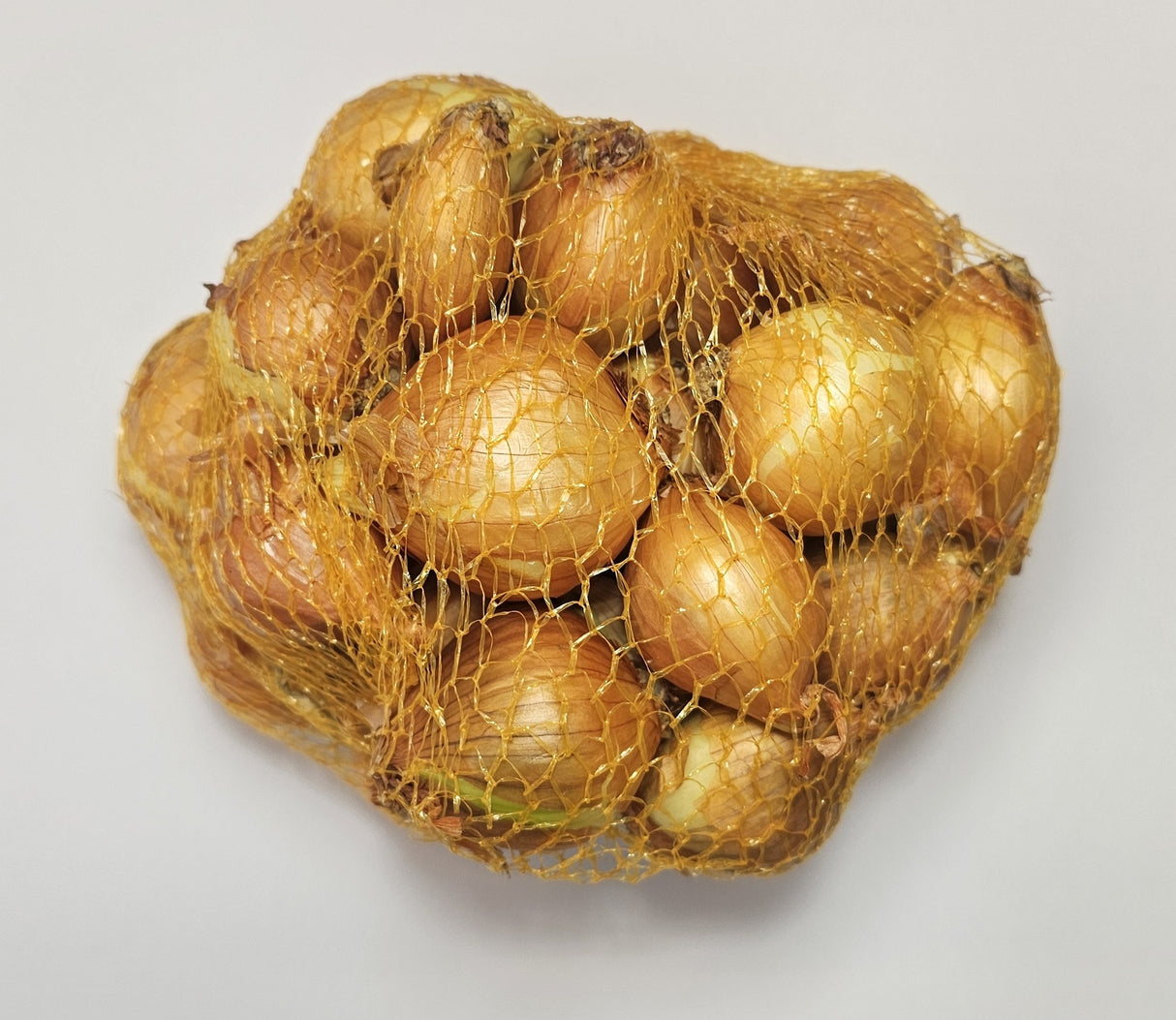 Samen Pfann Pflanzschalotten 7/14 500g