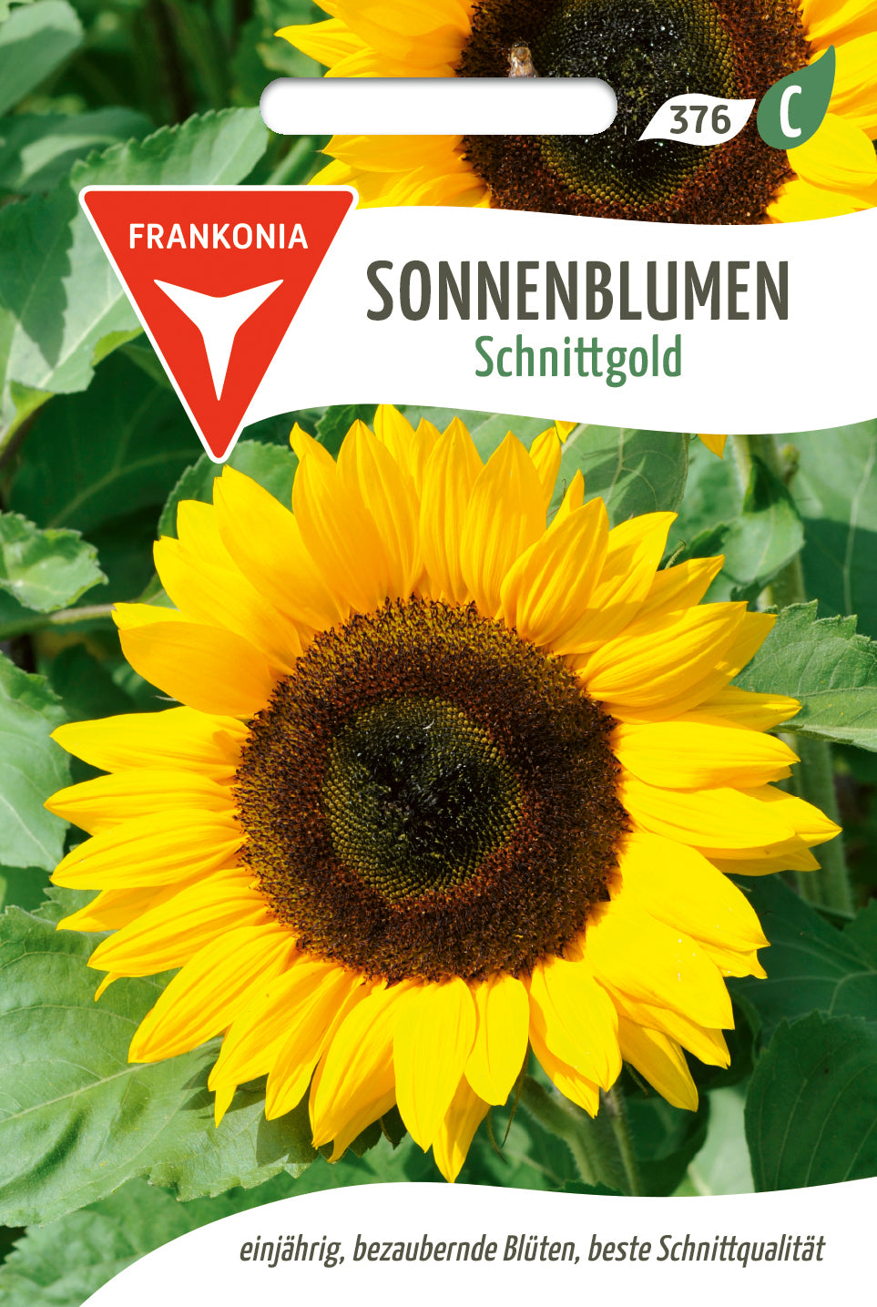 Frankonia Samen Sonnenblumen Schnittgold