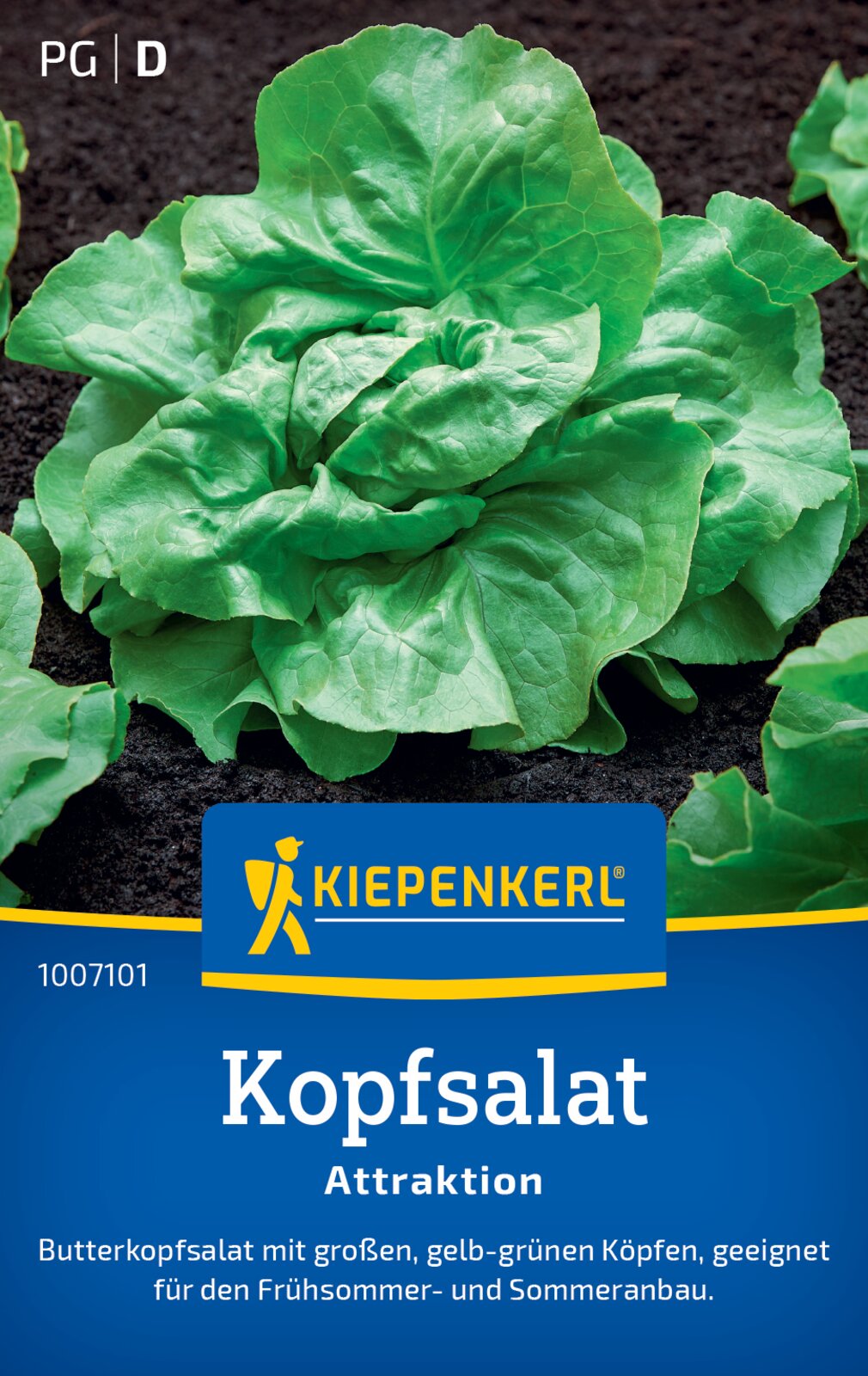 Kiepenkerl Kopfsalat Attraktion