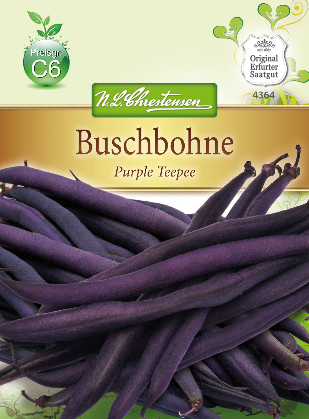 N.L. Chrestensen Buschbohne Purple Teepee, Gluckentyp