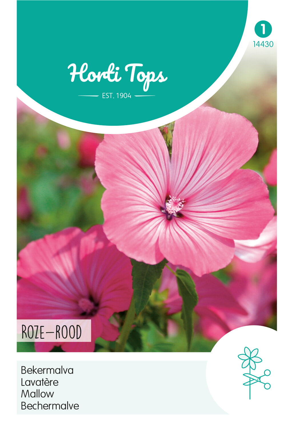 Horti Tops Bechermalve Hohe Rosa