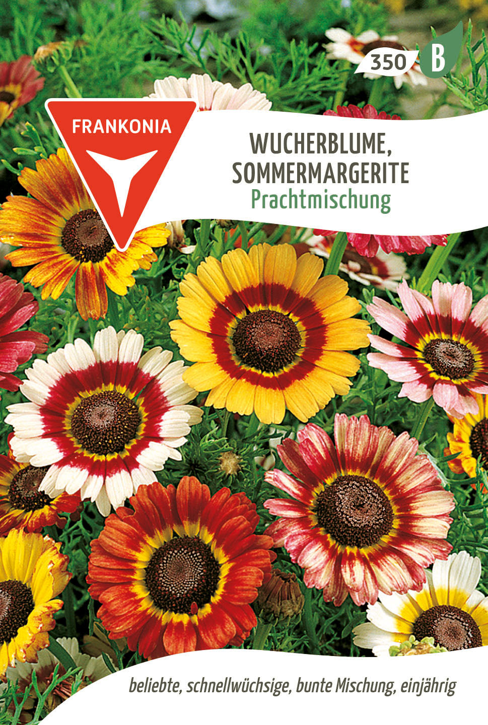 Frankonia Samen Blumensamen-Mischung Wucherblume, Sommermargerite Prachtmischung