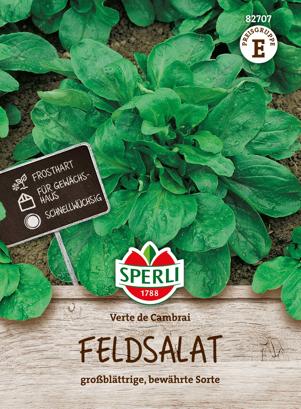 SPERLI Feldsalat Verte de Cambrai