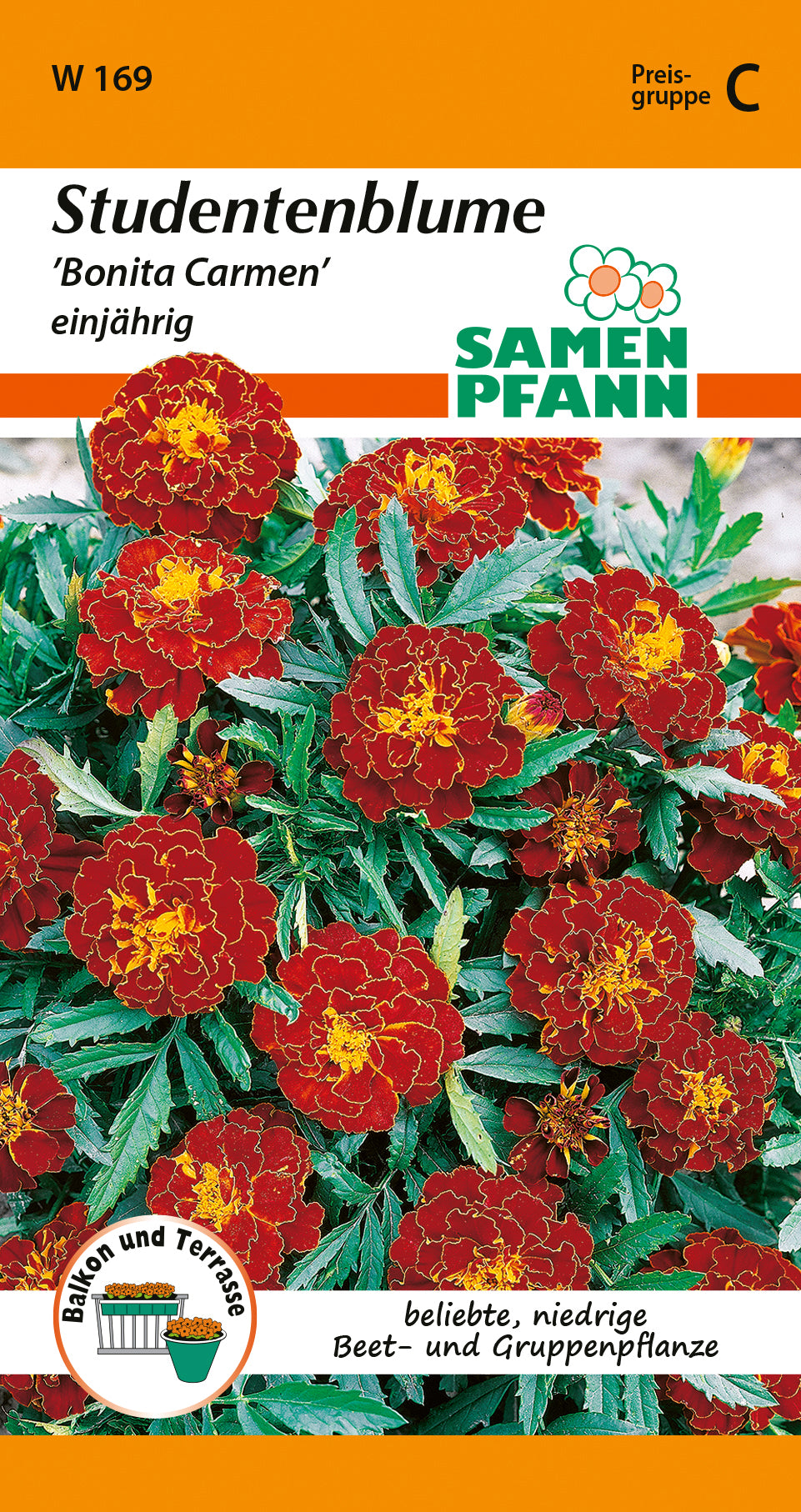 Samen Pfann Studentenblume Bonita Carmen einjährig