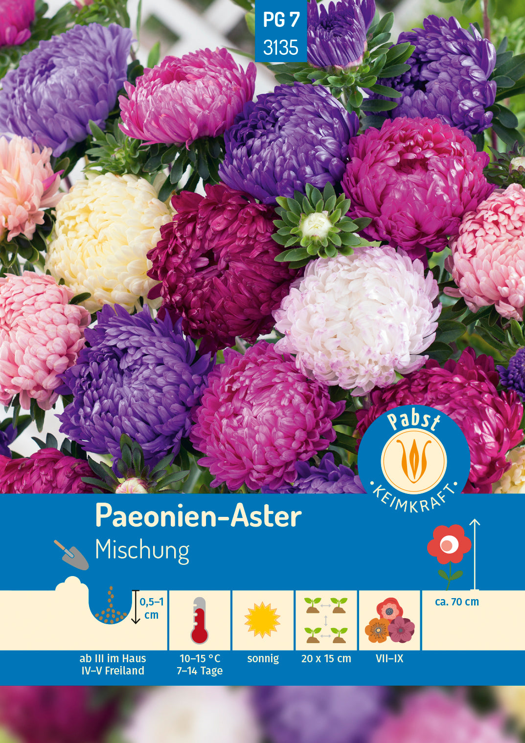 Pabst Keimkraft Paeonien-Aster Mischung