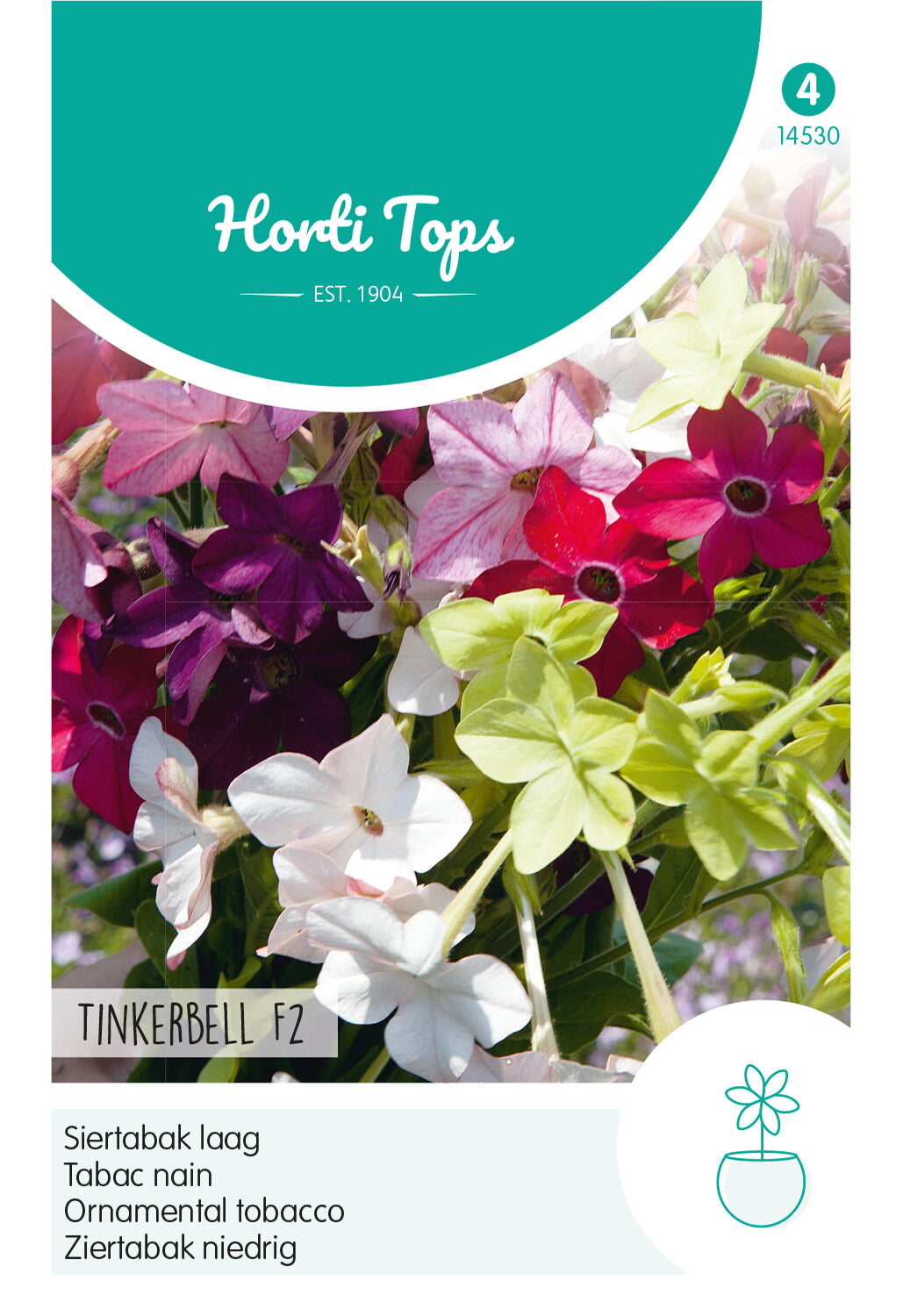 Horti Tops Ziertabak Nana Tinkerbell Mischung