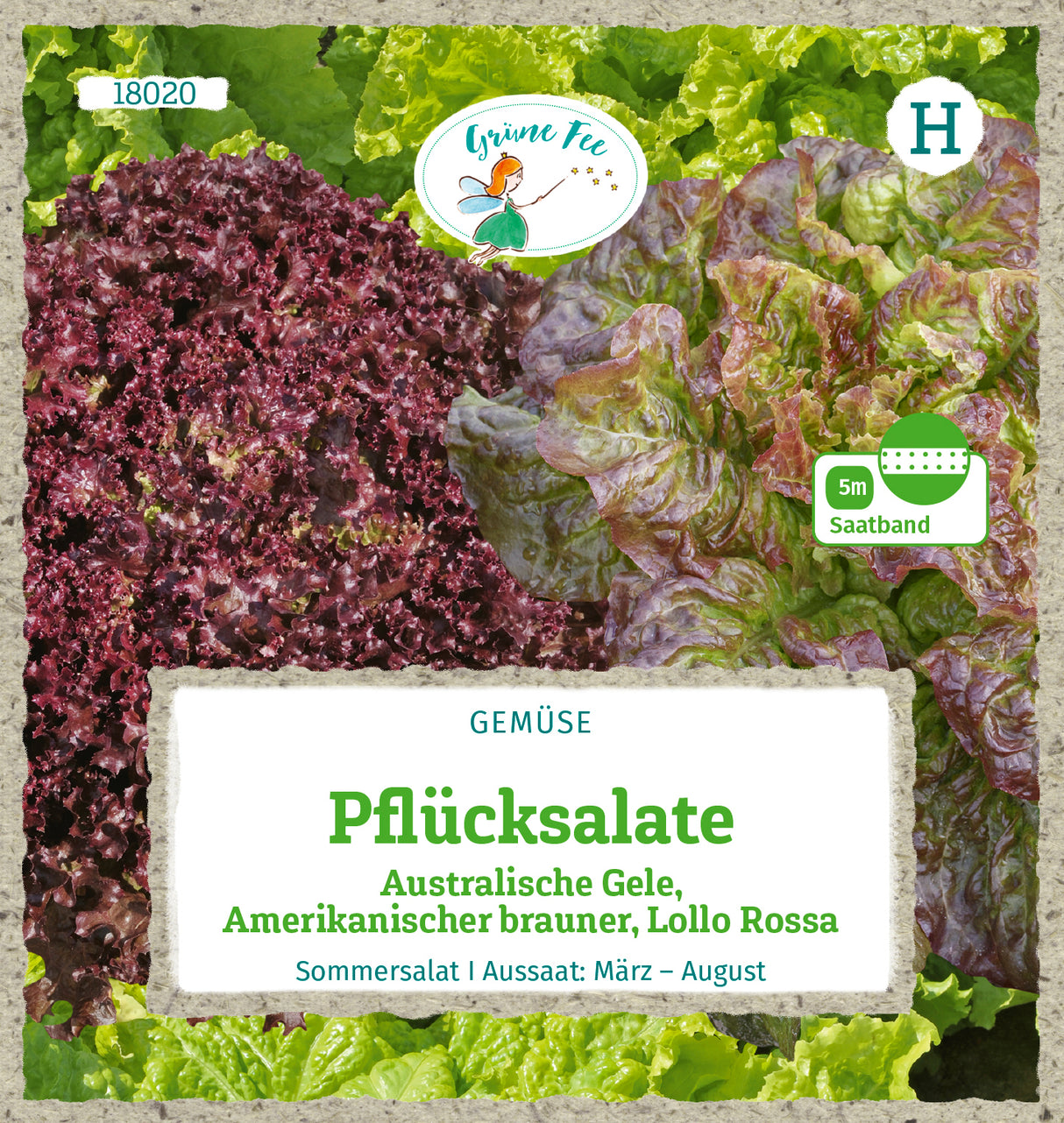 Grüne Fee Pflück- & Schnittsalat Lollo Rossa, Australische Gele, Amerikanischer Brauner