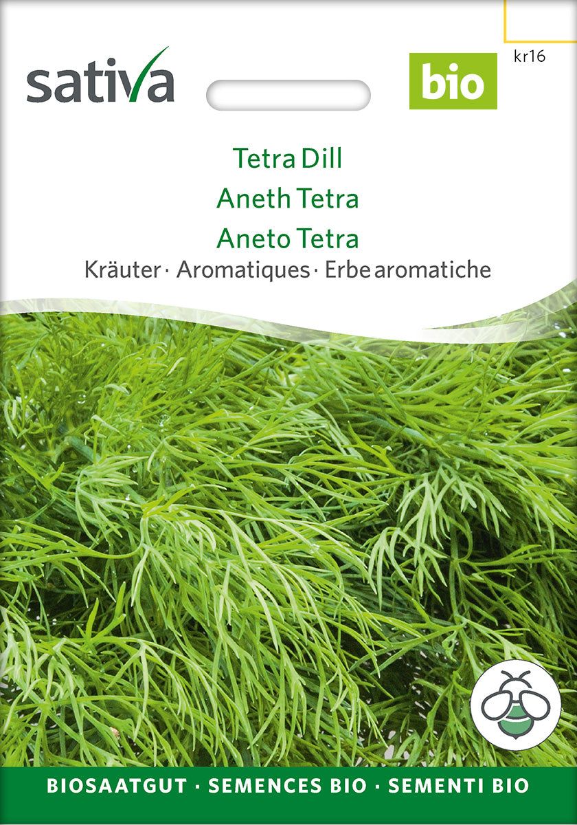Sativa Dill Tetra