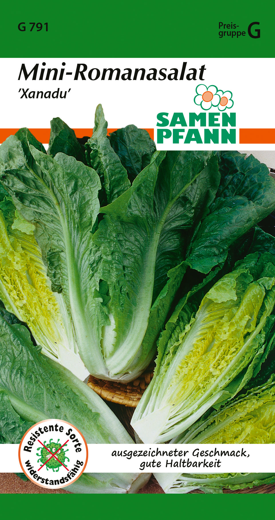 Samen Pfann Mini-Romanasalat Xanadu