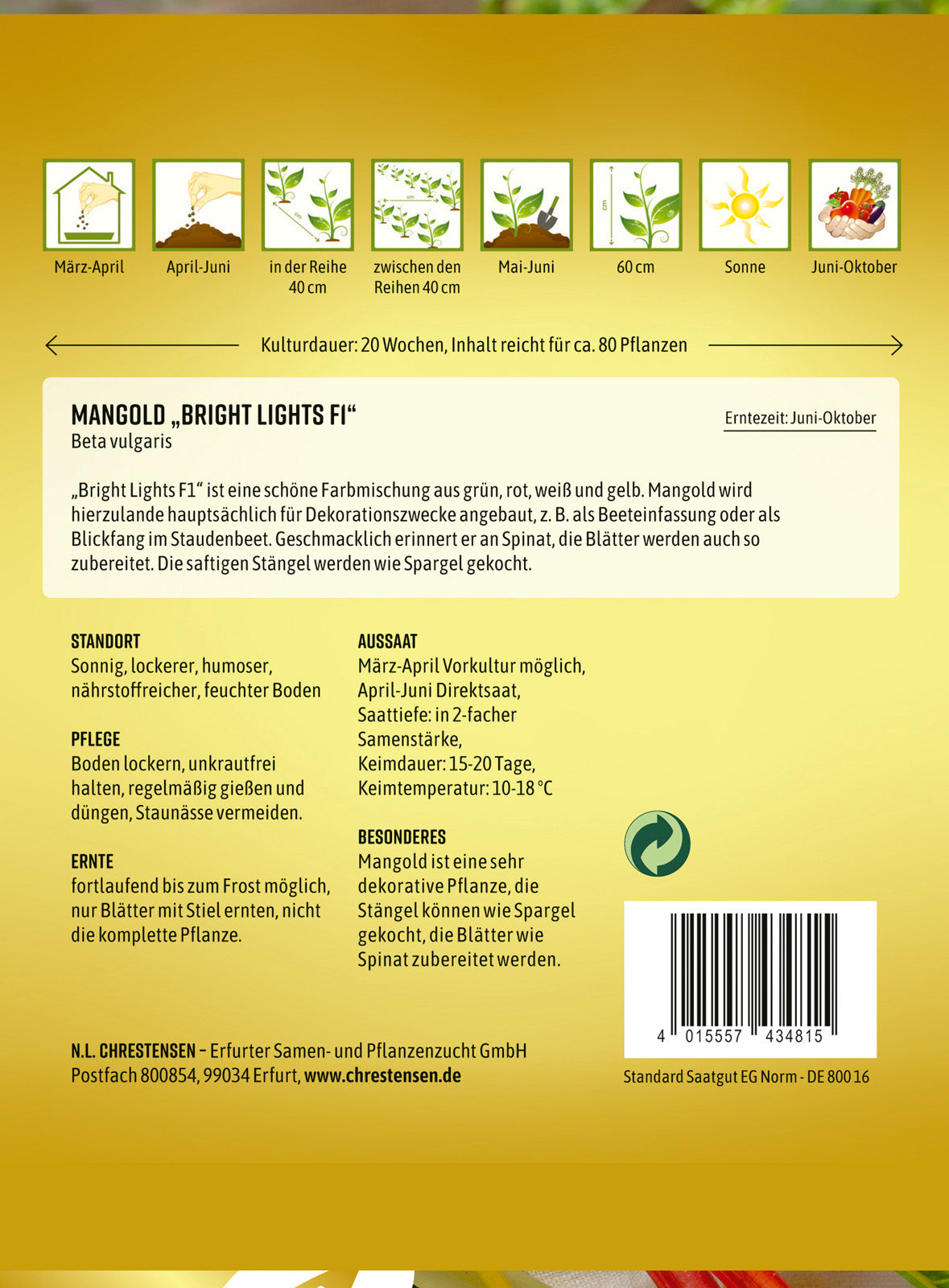 N.L. Chrestensen Mangold Bright Lights F1