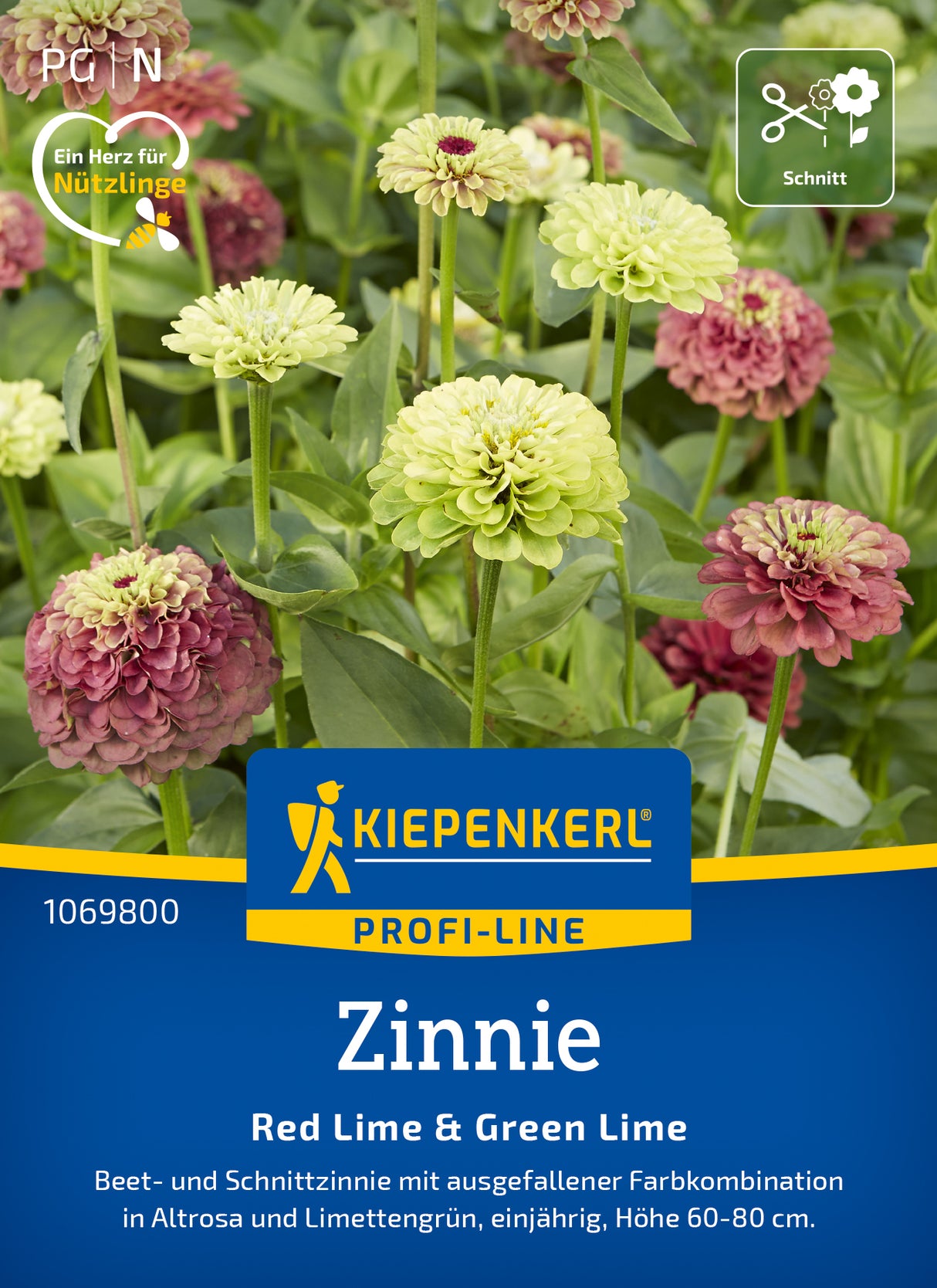 Zinniensamen Red Lime & Green Lime