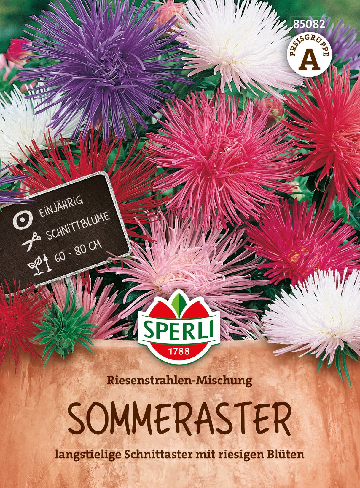 SPERLI Sommeraster Riesenstrahlen-Mischung