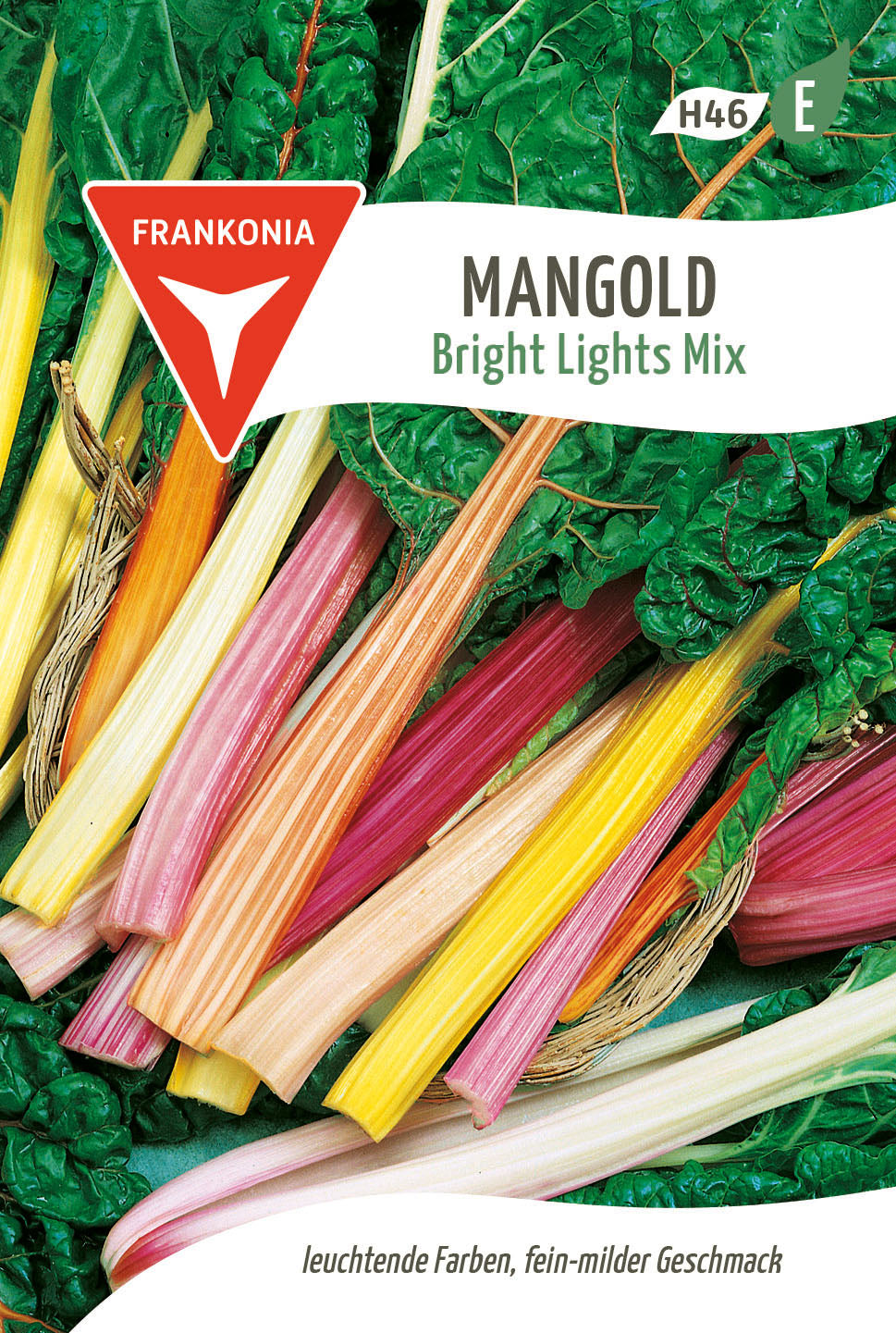 Frankonia Samen Mangold Bright Lights Mix