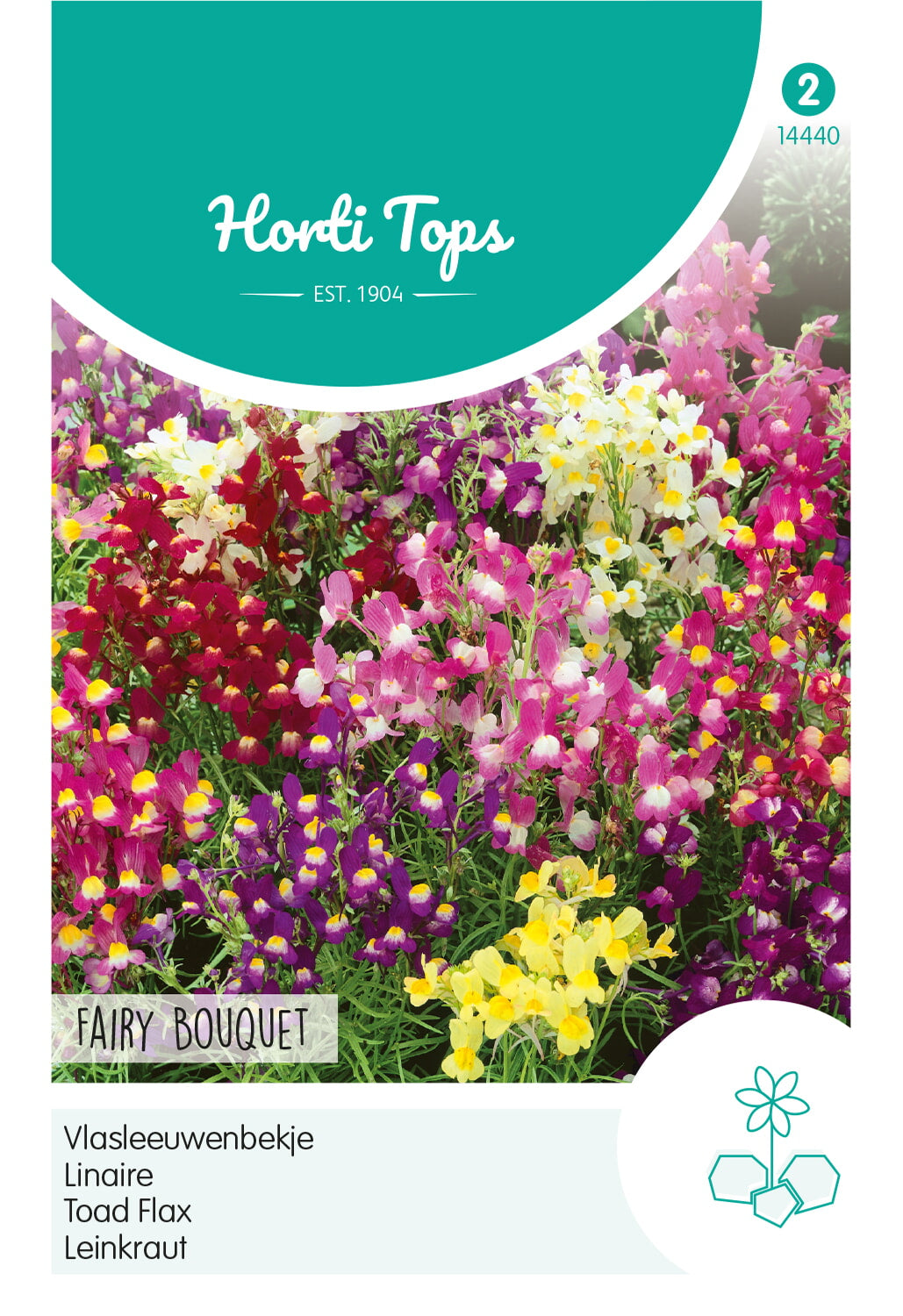 Horti Tops Marokkanisches Leinkraut Feenstrauß Mischung