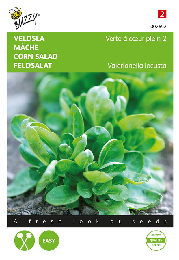 Buzzy Seeds Feldsalat Volhart 2