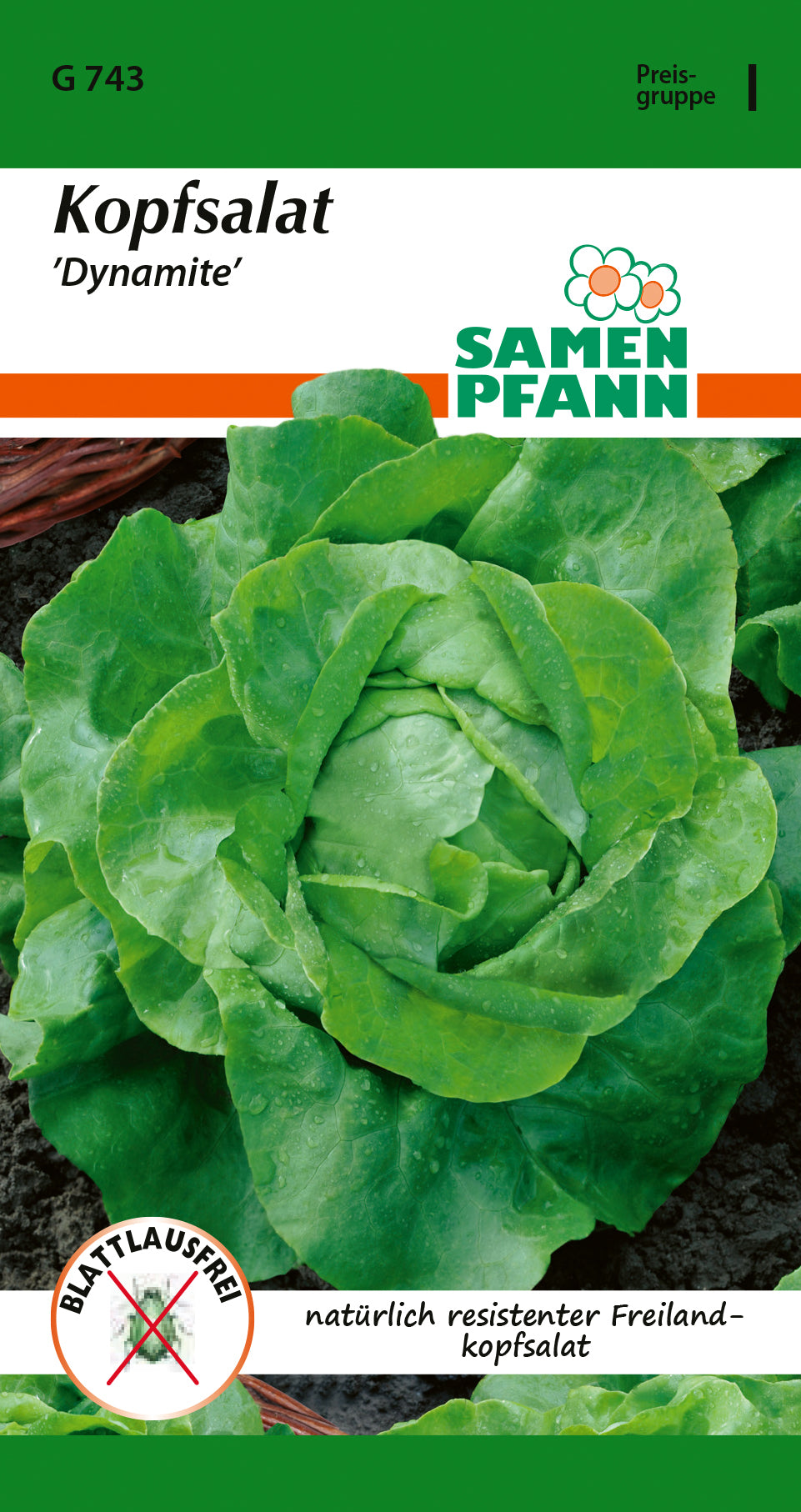 Samen Pfann Kopfsalat Dynamite