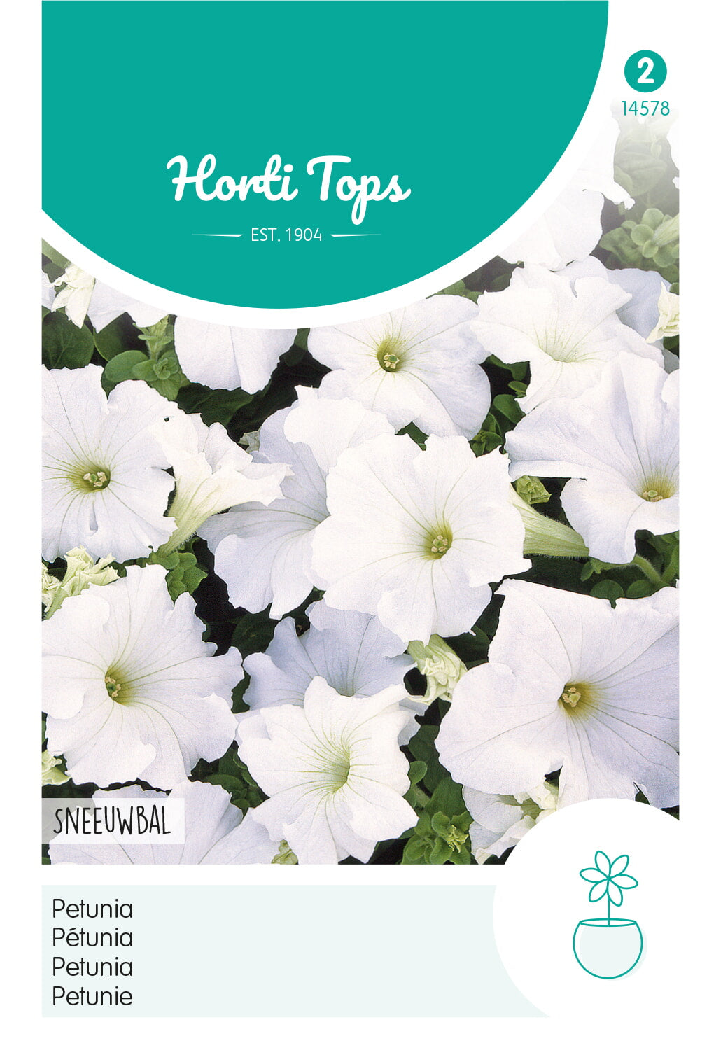 Horti Tops Petunie Nana Compacta Snowball, Weiß