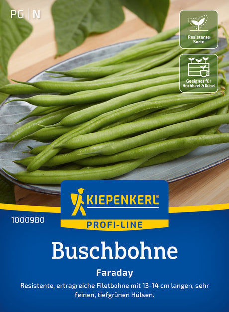 Kiepenkerl Buschbohnen Faraday